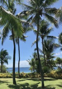 セブ島 リゾートホテル 結婚式